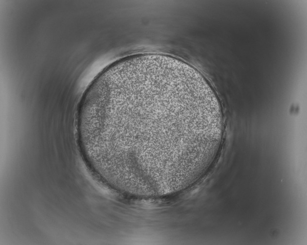 X0000111660103200908071443