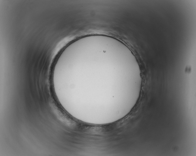 X0000111660104200908071443