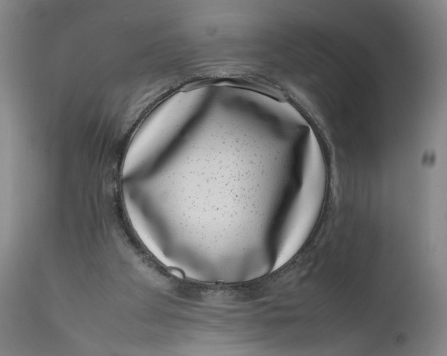 X0000111660105200908071443