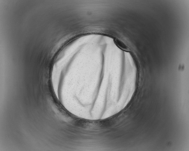 X0000111660107200908071443