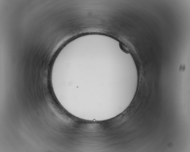 X0000111660108200908071443