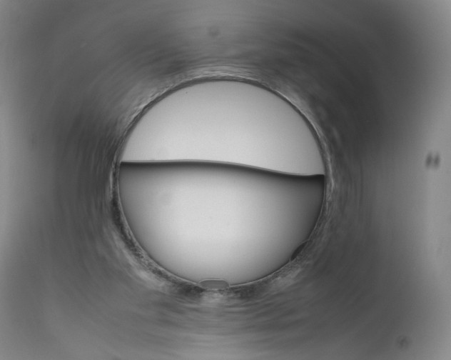 X0000111660109200908071443