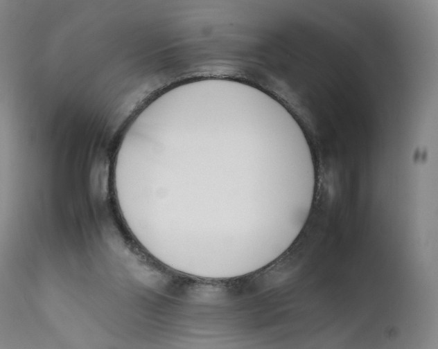 X0000111660110200908071443