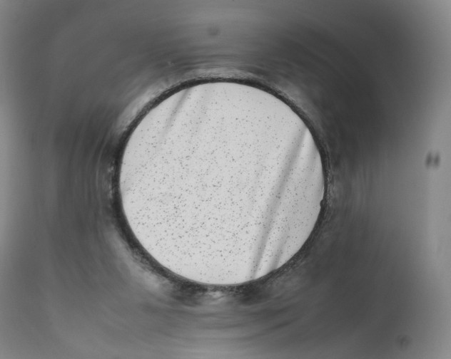 X0000111660111200908071443