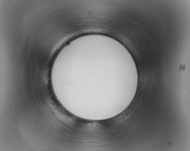 X0000111660112200908071443