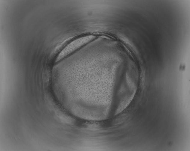 X0000111660113200908071443