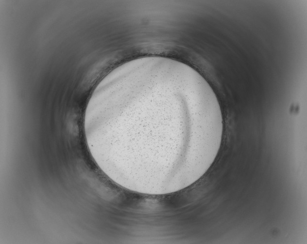 X0000111660114200908071443