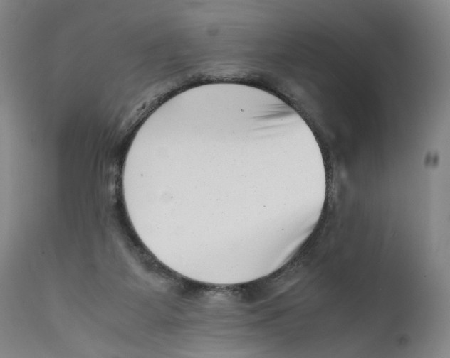 X0000111660115200908071443