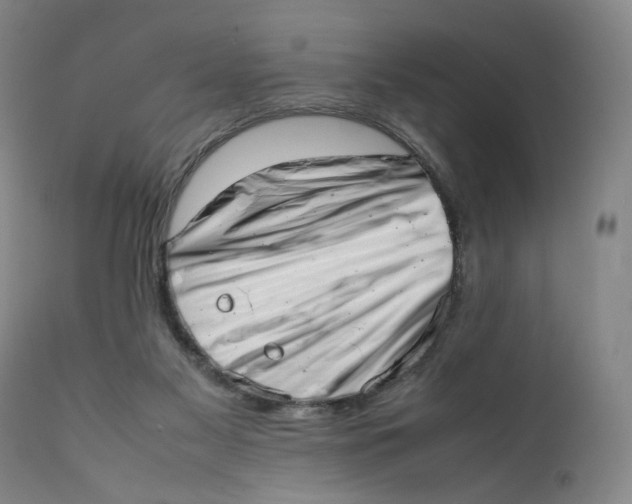 X0000111660117200908071443