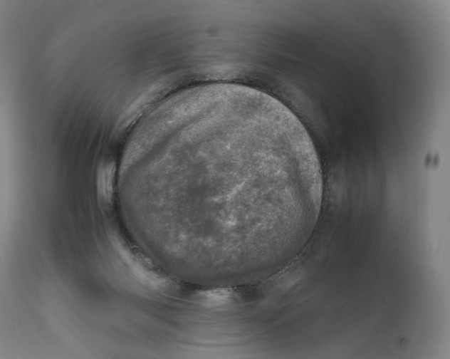 X0000111660118200908071443