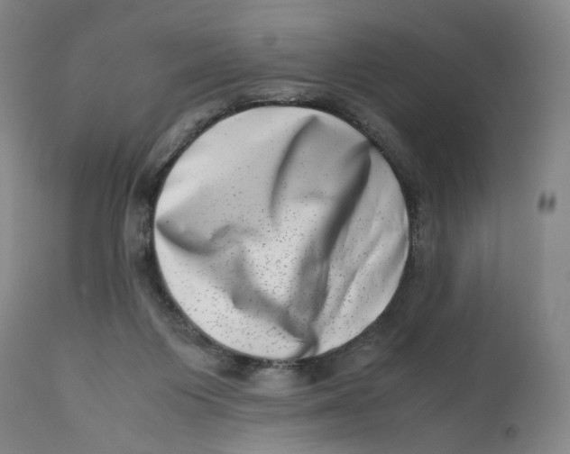 X0000111660119200908071443