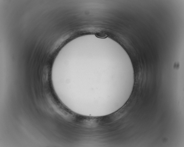 X0000111660120200908071443