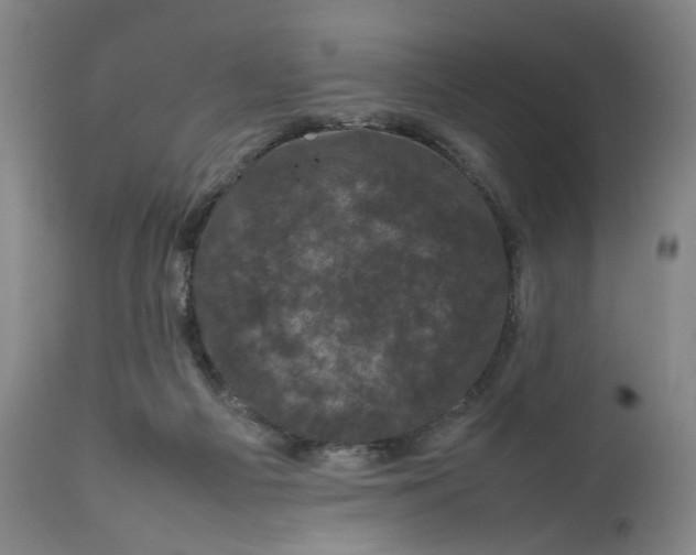 X0000111660121200908071443