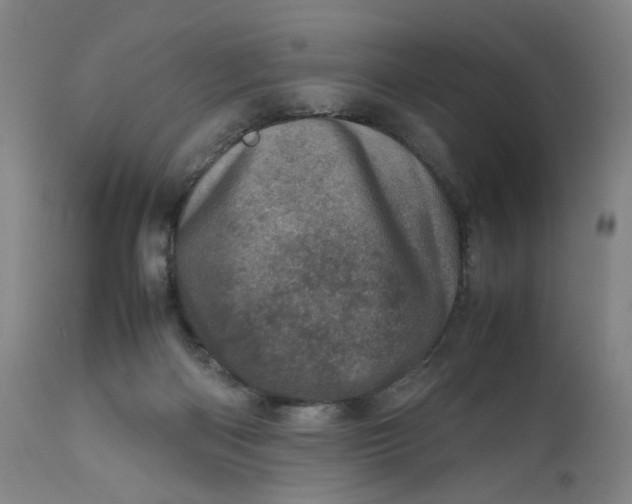 X0000111660122200908071443