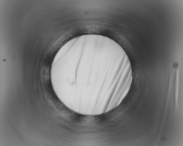 X0000111660123200908071443