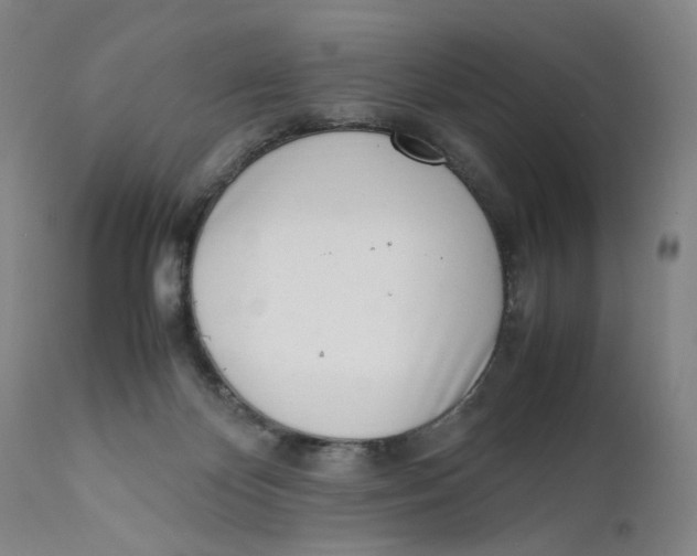 X0000111660124200908071443