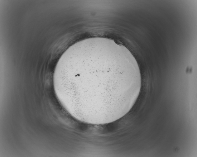 X0000111660125200908071443