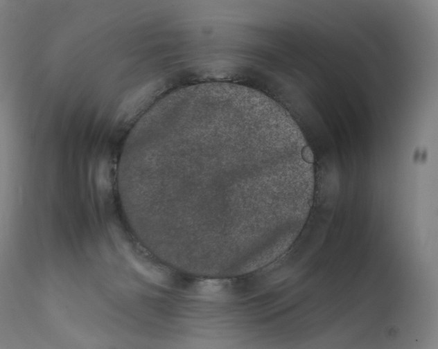 X0000111660126200908071443