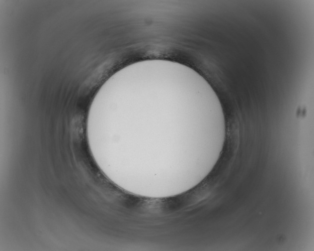 X0000111660127200908071443