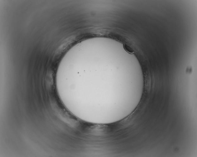 X0000111660128200908071443