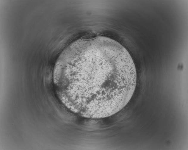 X0000111660129200908071443