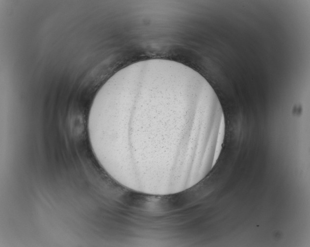 X0000111660130200908071443