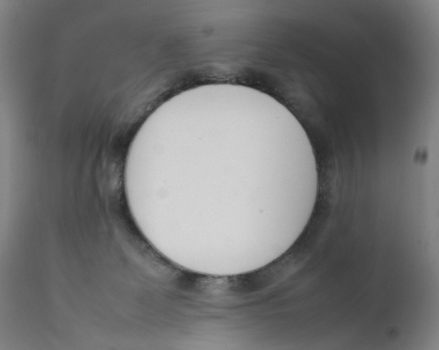 X0000111660131200908071443