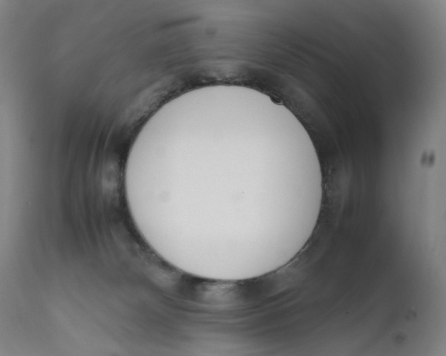 X0000111660132200908071443