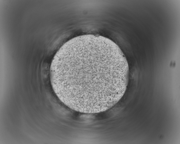 X0000111660133200908071443