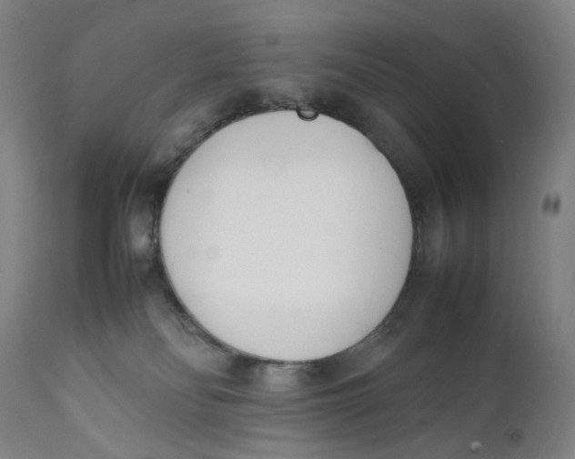 X0000111660134200908071443