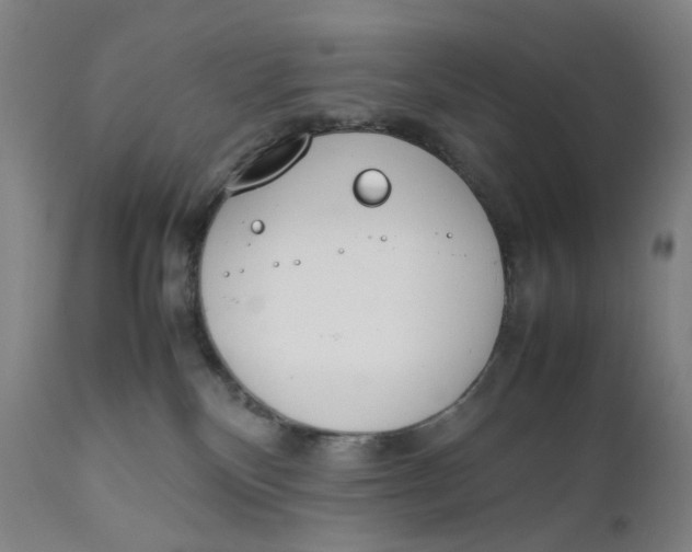 X0000111660136200908071443