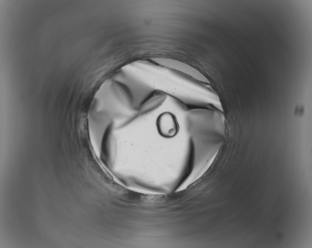 X0000111660141200908071442