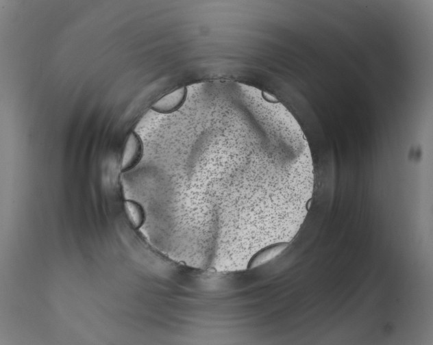 X0000111660142200908071442