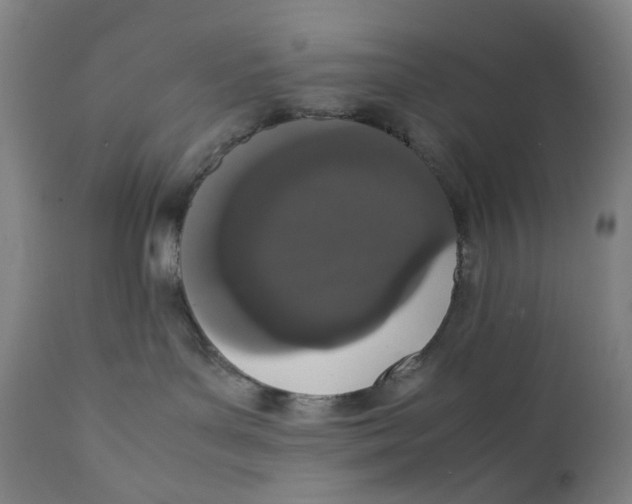 X0000111660143200908071442