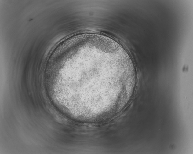 X0000111660145200908071442