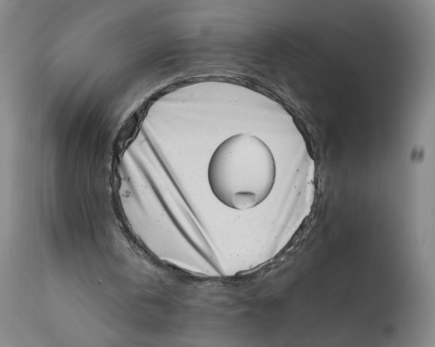 X0000111660146200908071442