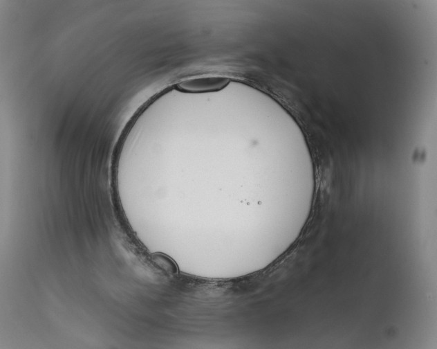 X0000111660148200908071442