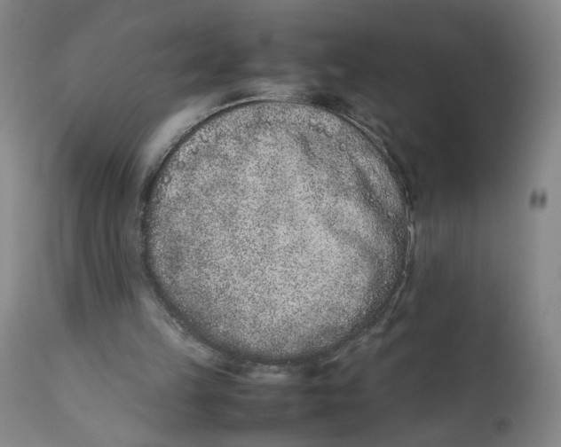 X0000111660149200908071442