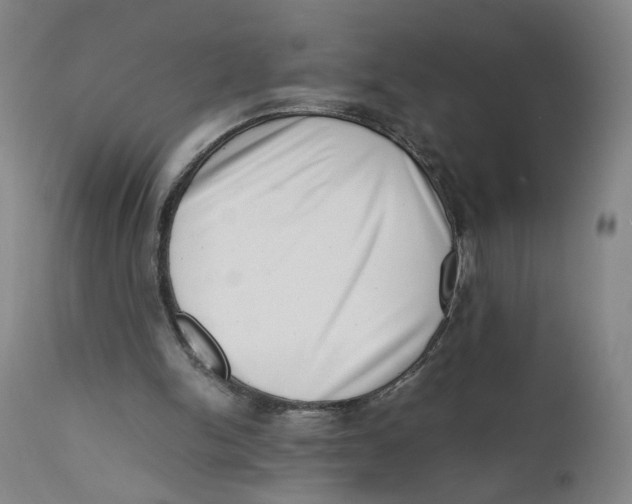 X0000111660150200908071442