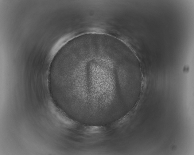 X0000111660151200908071442