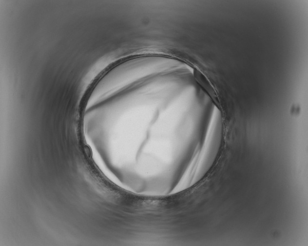 X0000111660152200908071442