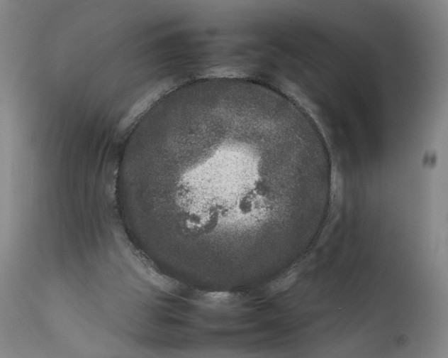 X0000111660153200908071442