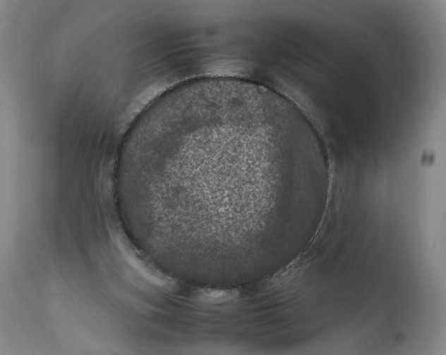 X0000111660155200908071442