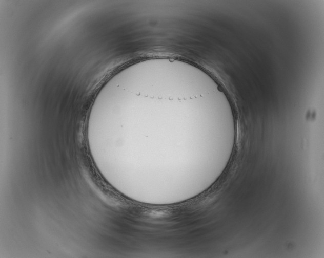 X0000111660157200908071442