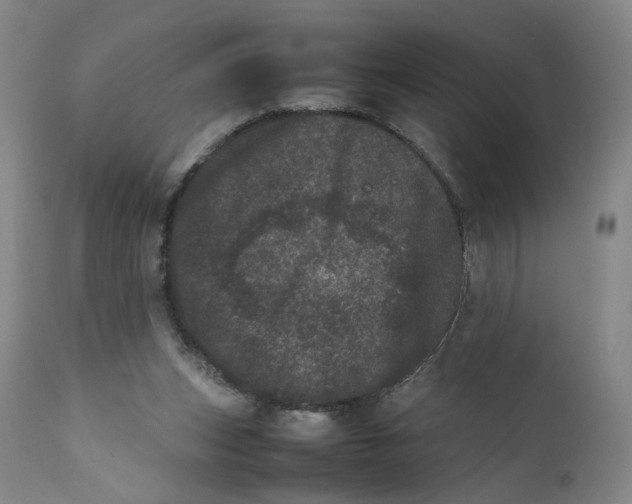 X0000111660159200908071442