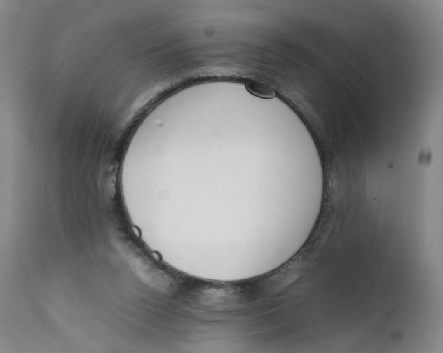 X0000111660160200908071442