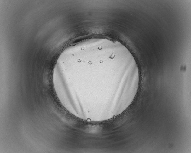 X0000111660161200908071442