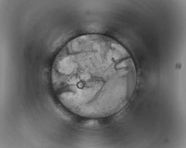 X0000111660162200908071442