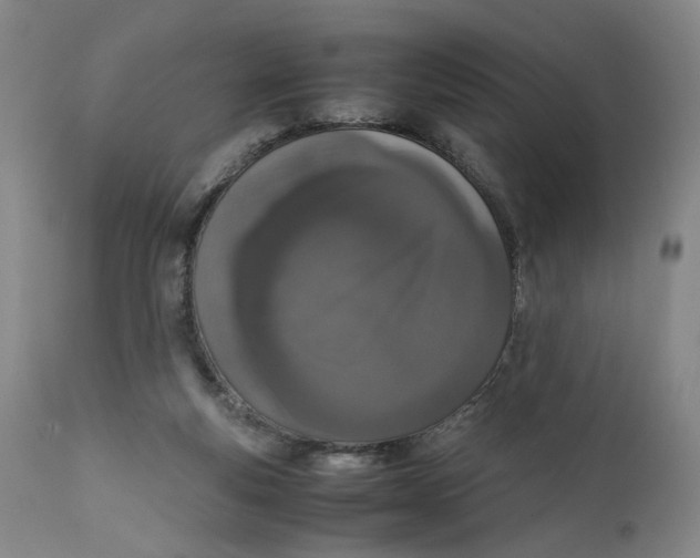 X0000111660163200908071442