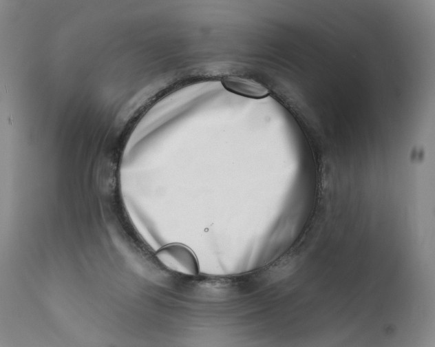 X0000111660164200908071442